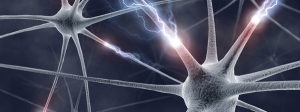 Neurons in the brain passing energy over dendrites and synapses.