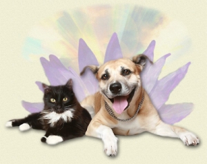 Reiki dog and cat with big smiles.