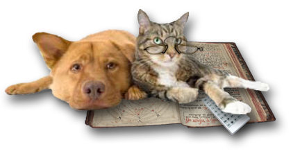 lounging cat and dog Lounging dog and cat.